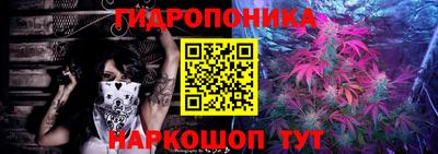 СК Гай