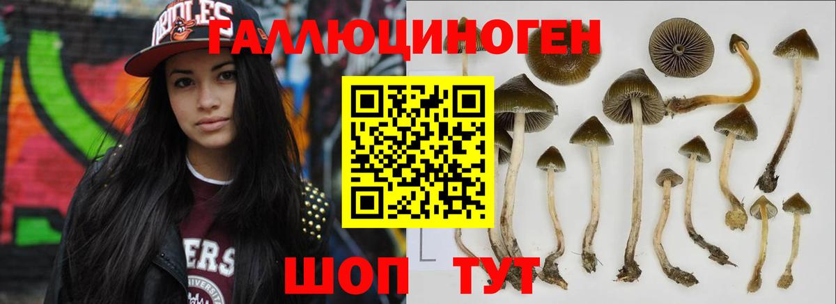 Галлюциногенные грибы MAGIC MUSHROOMS  Псилоцибиновые грибы Magic Shrooms  наркошоп  Надым  Вход с VPN 